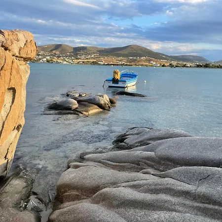 Playera F Sea View *