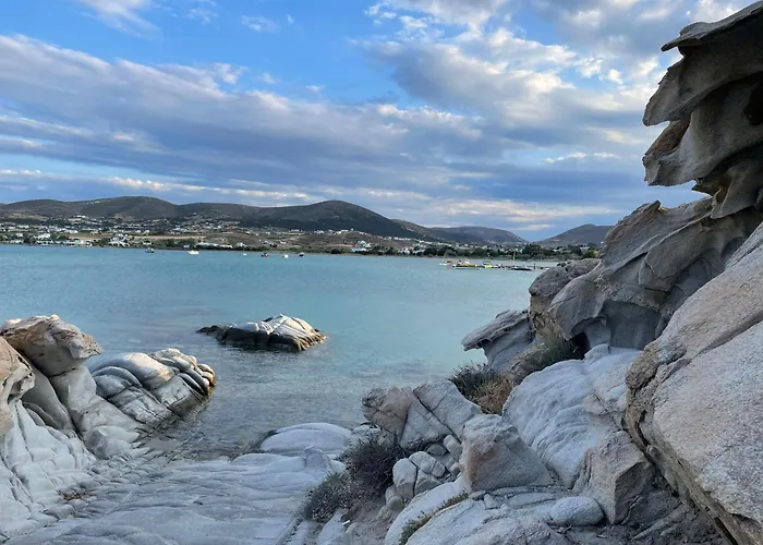 Playera F Sea View *