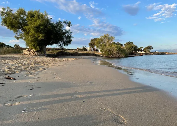 Apartment Playera F Sea View *